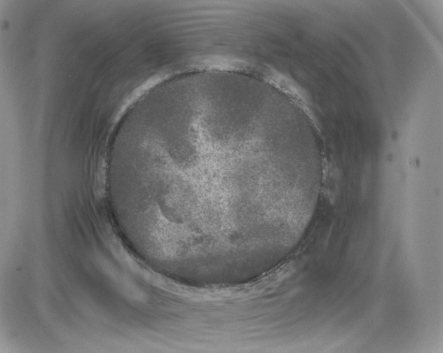 X0000081430012200701261834