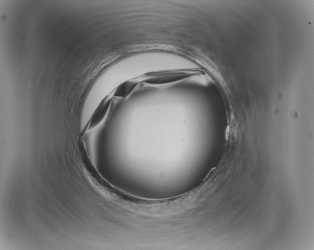 X0000081430013200701261834