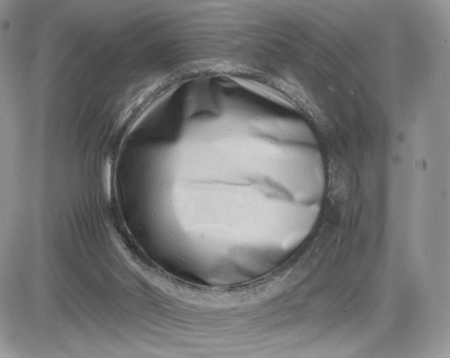 X0000081430014200701261834