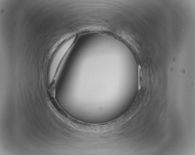 X0000081430015200701261834