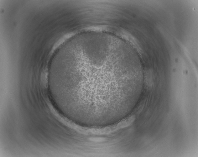 X0000081430016200701261834