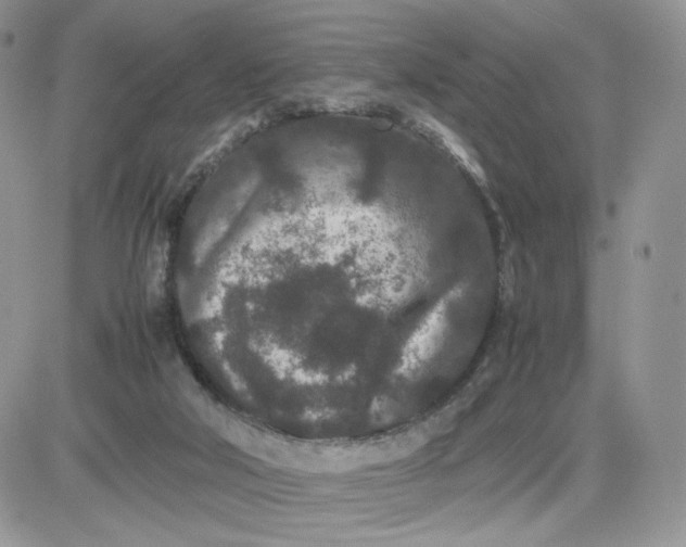 X0000081430018200701261834