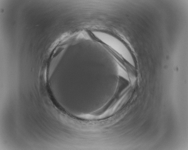 X0000081430019200701261834