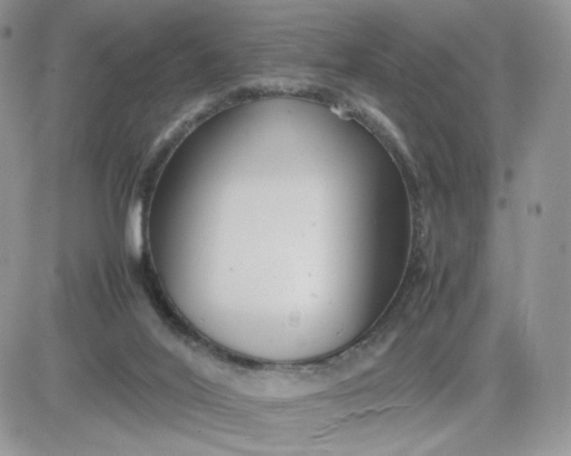 X0000081430020200701261834