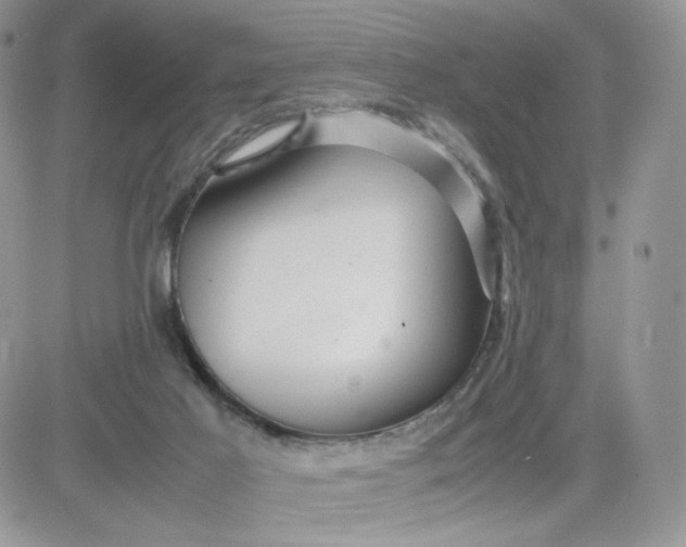 X0000081430021200701261834