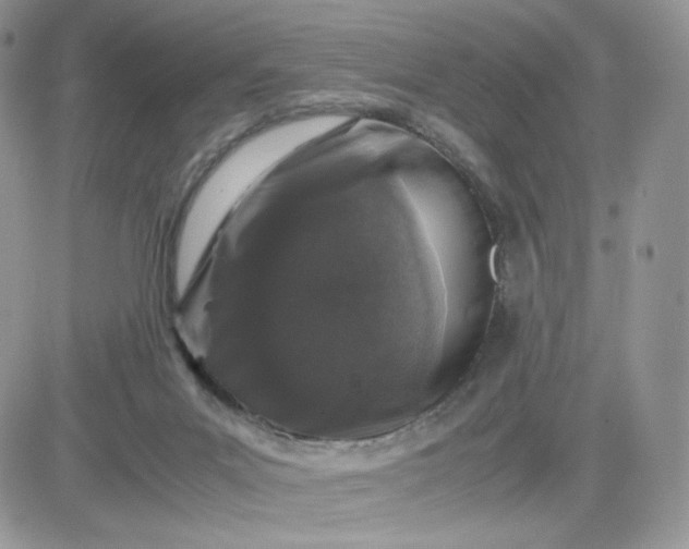 X0000081430023200701261834