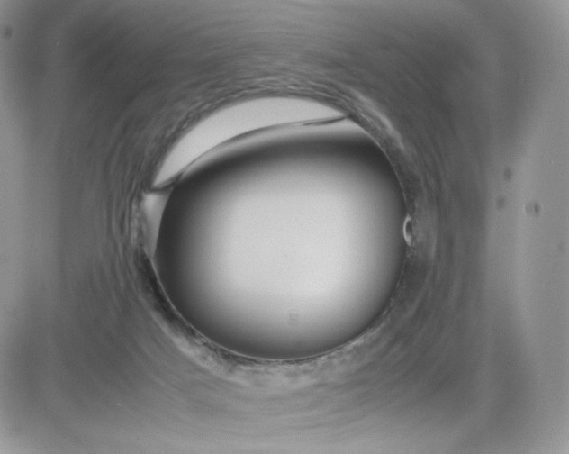 X0000081430025200701261834