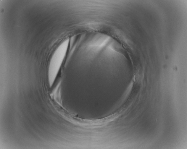 X0000081430027200701261834