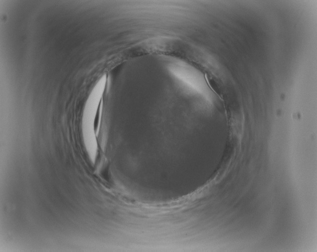 X0000081430029200701261834