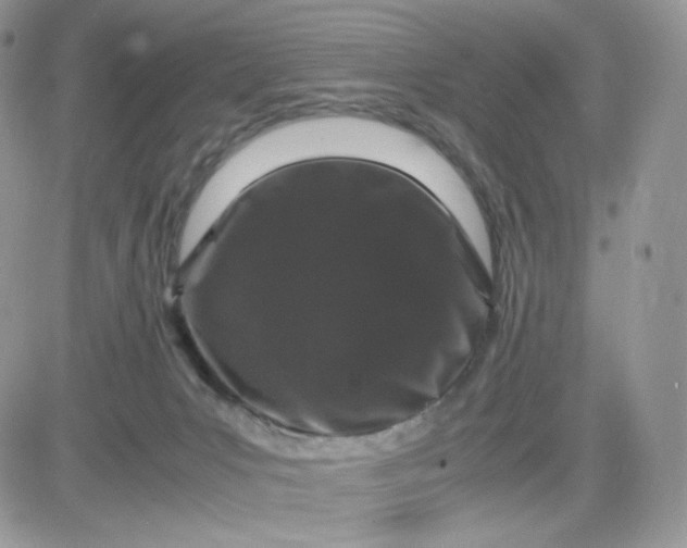 X0000081430031200701261834