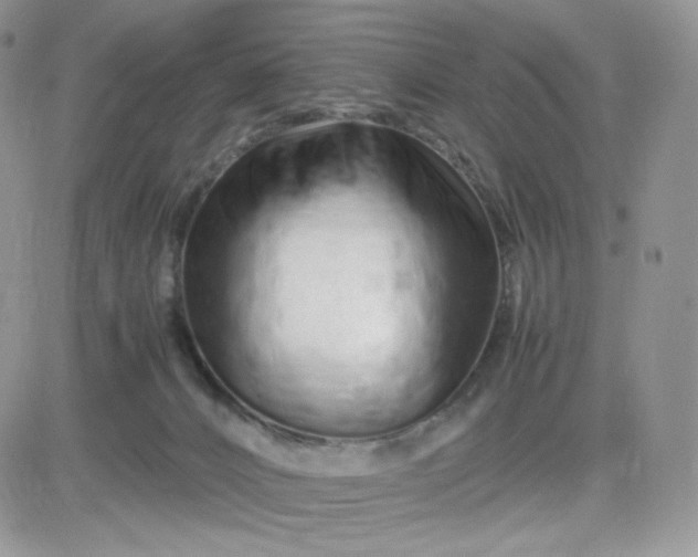 X0000081430032200701261834