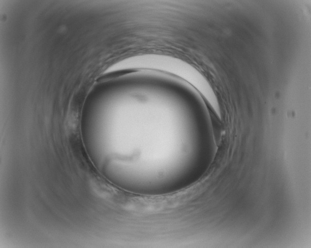 X0000081430033200701261834