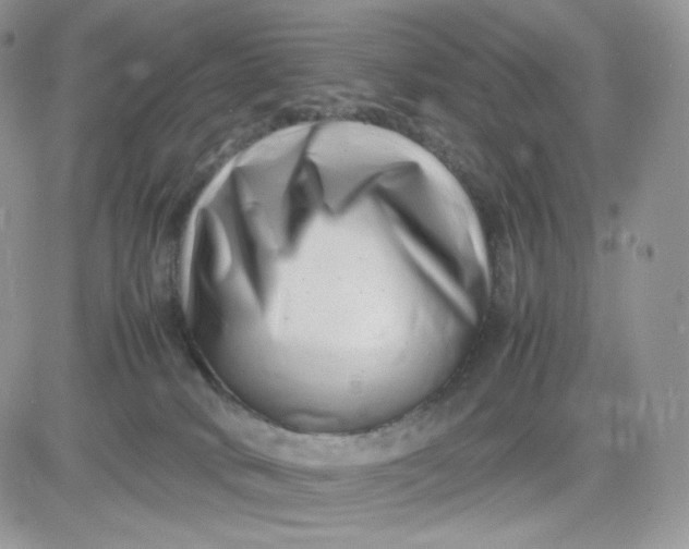 X0000081430034200701261834