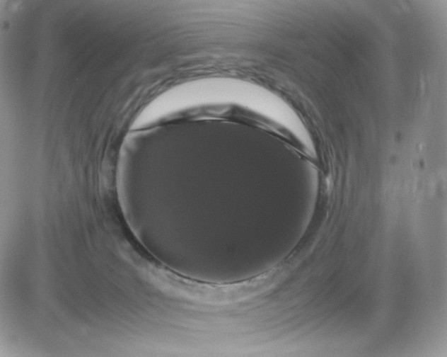 X0000081430035200701261834