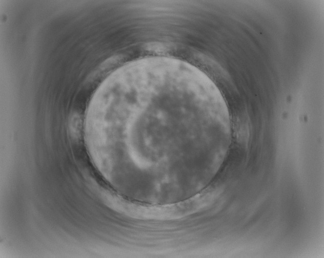 X0000081430036200701261834