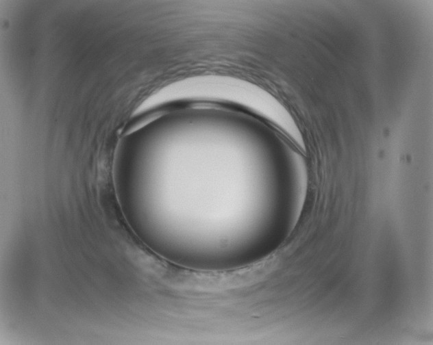 X0000081430037200701261834