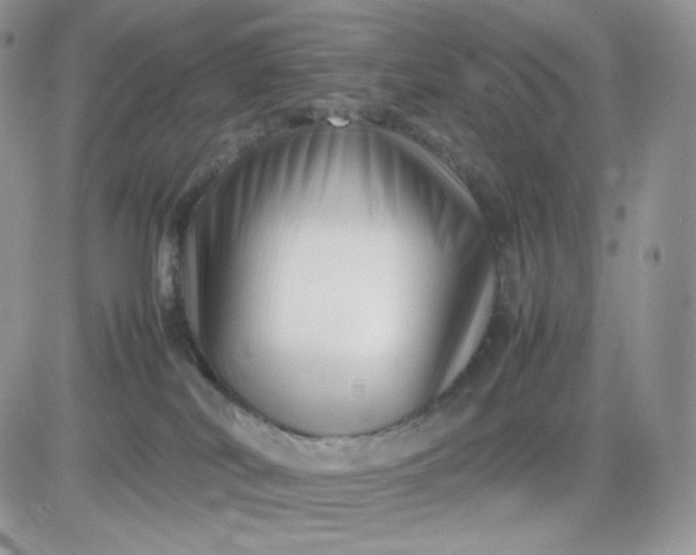 X0000081430038200701261833