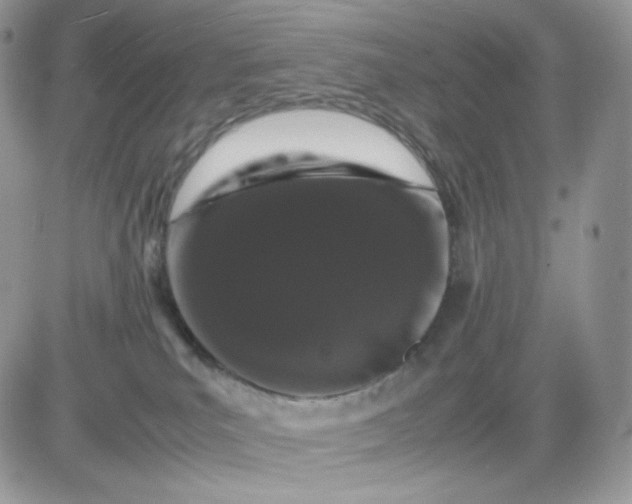 X0000081430039200701261833