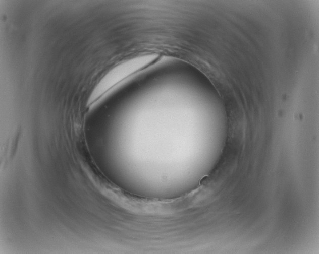 X0000081430040200701261833