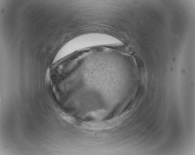 X0000081430041200701261833