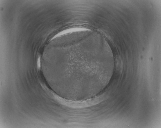 X0000081430042200701261833