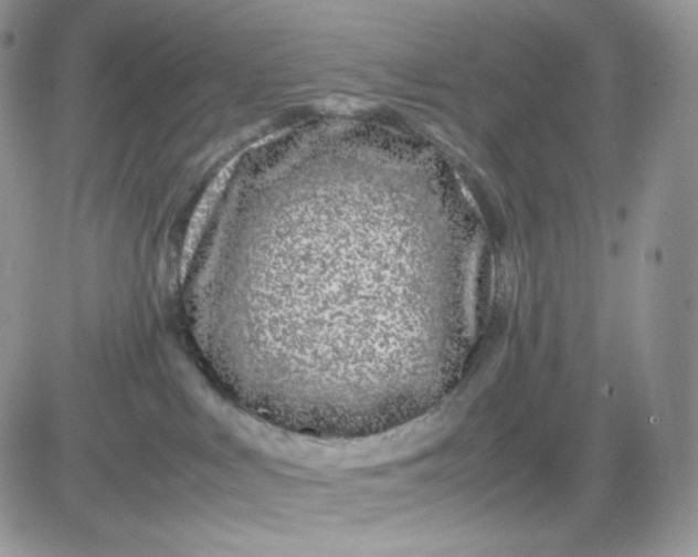 X0000081430043200701261833