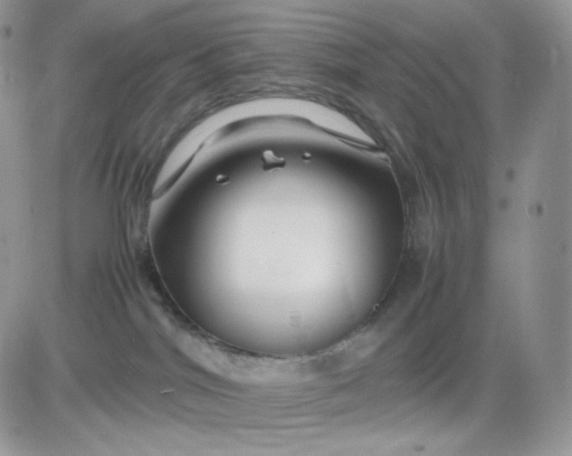 X0000081430044200701261833