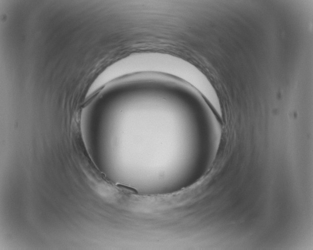 X0000081430045200701261833