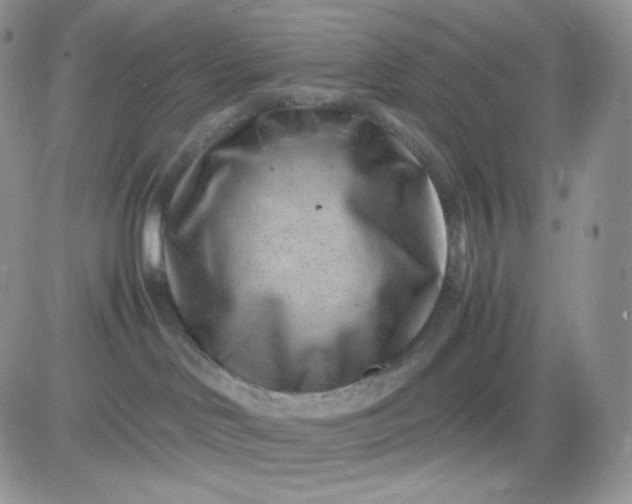 X0000081430046200701261833