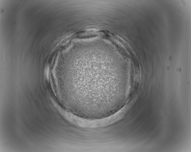 X0000081430047200701261833