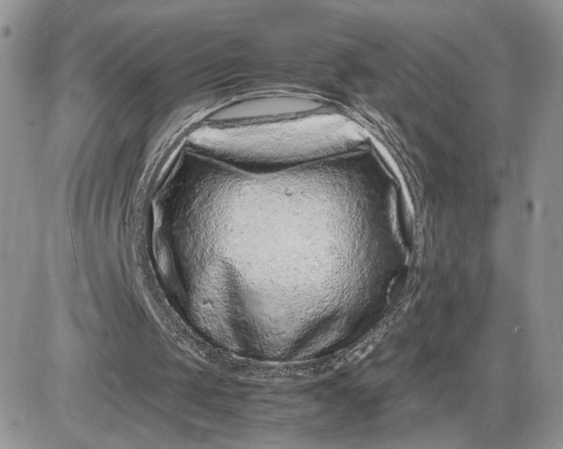 X0000081430049200701261833