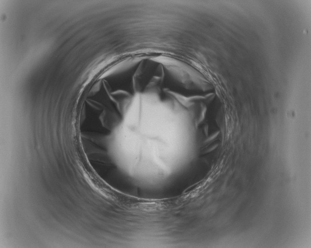 X0000081430050200701261833