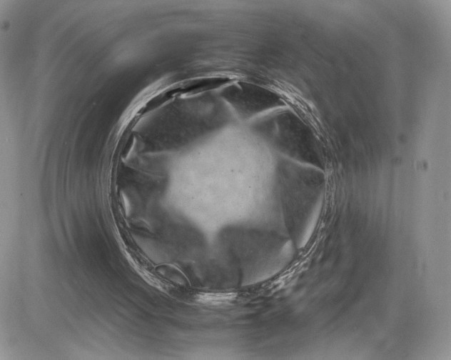 X0000081430051200701261833