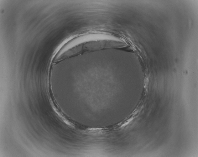 X0000081430052200701261833