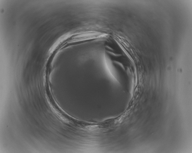 X0000081430054200701261833