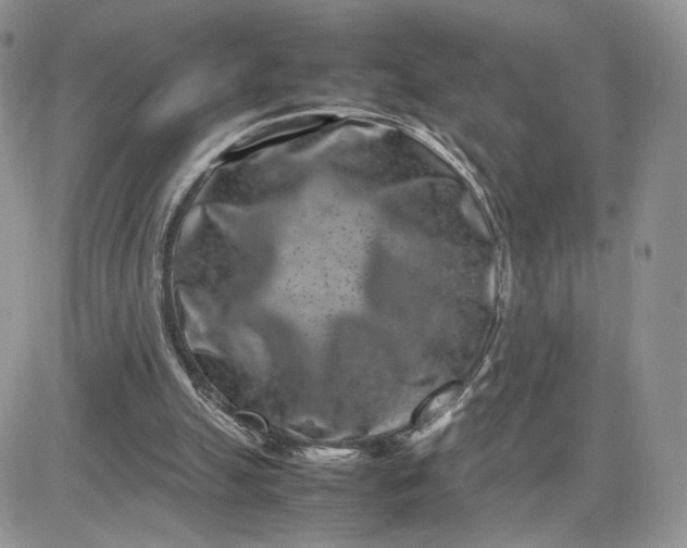 X0000081430055200701261833