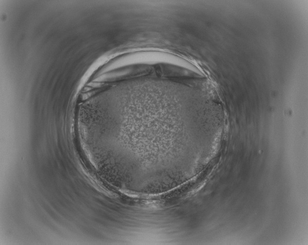 X0000081430056200701261833