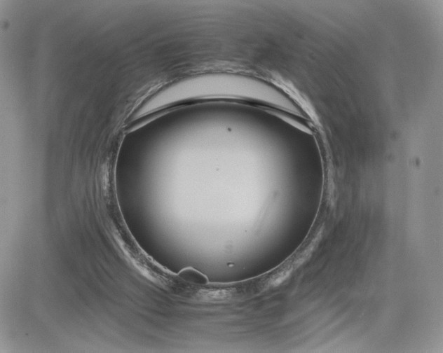 X0000081430057200701261833