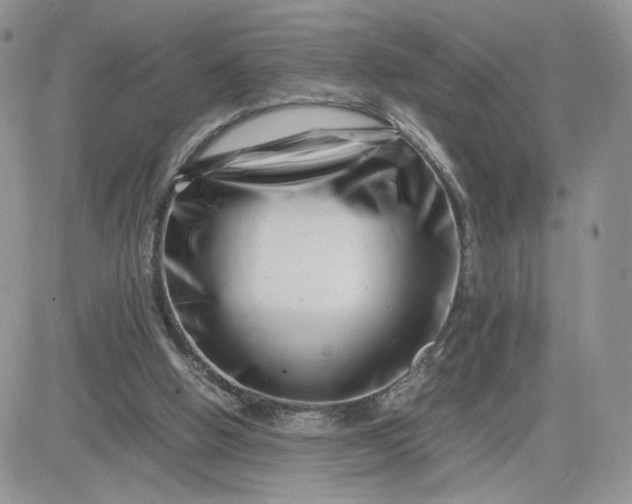 X0000081430058200701261833