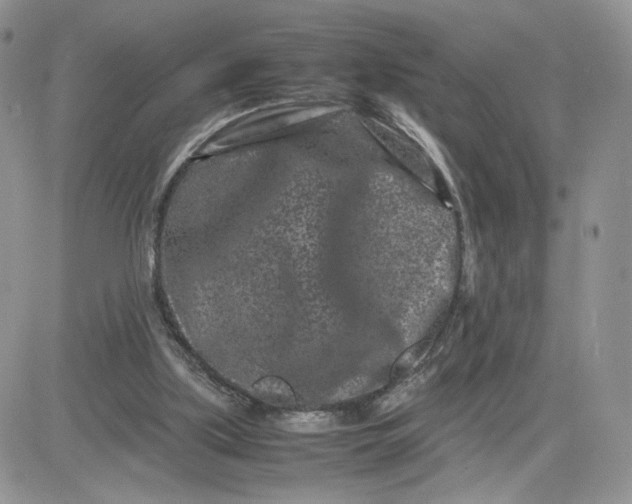 X0000081430059200701261833