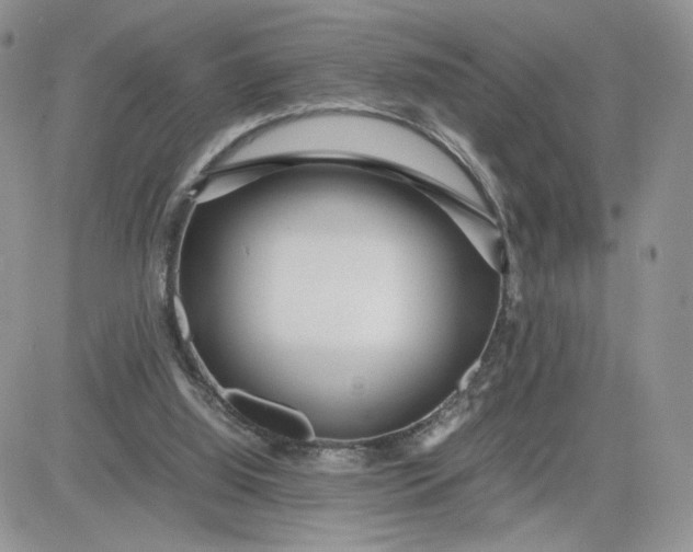 X0000081430060200701261833