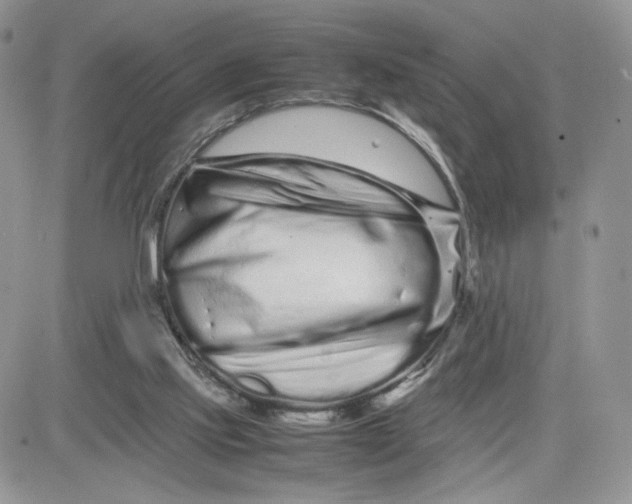 X0000081430061200701261833