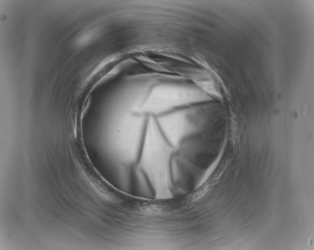 X0000081430062200701261833