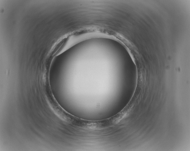 X0000081430064200701261833