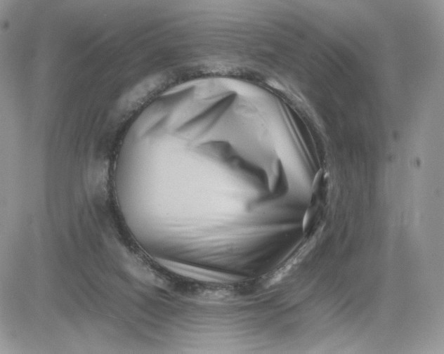 X0000081430066200701261833