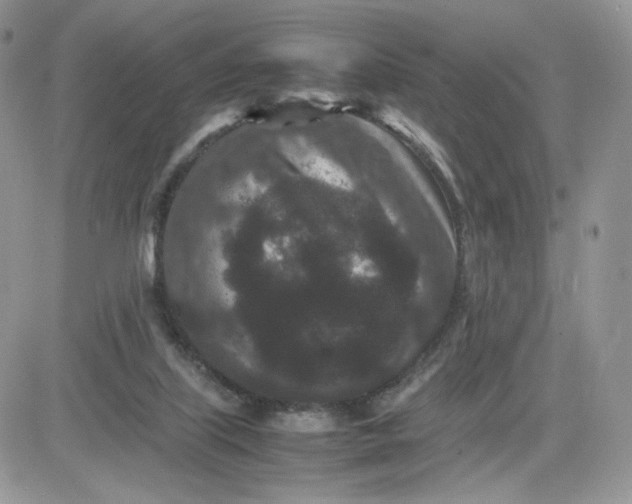 X0000081430067200701261833