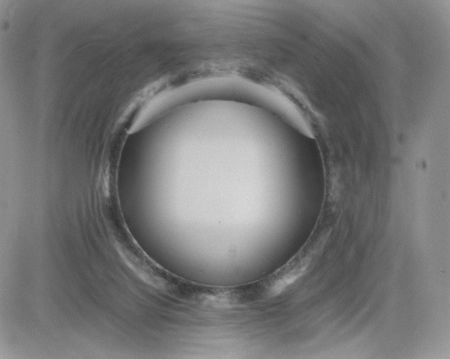 X0000081430068200701261833