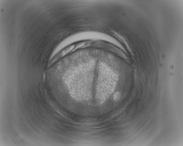 X0000081430069200701261833