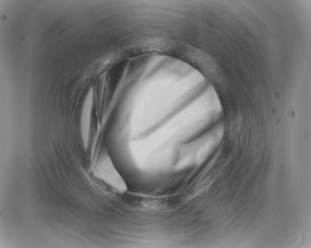 X0000081430070200701261833