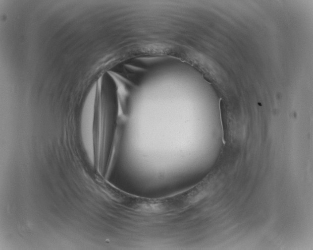 X0000081430071200701261833